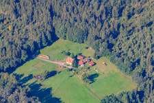 Litschhof in Wingen in the state Bas-Rhin, France