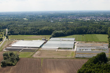 Reiß Horticulture in Malsch in the state Baden-Wuerttemberg, Germany