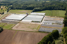 Aerial photograpy of Reiß Horticulture in Malsch in the state Baden-Wuerttemberg, Germany