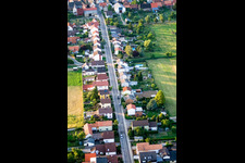 Bird's eye view of Wattstr in Freckenfeld in the state Rhineland-Palatinate, Germany