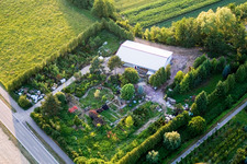 Freckenfeld, nursery in the district Schaidt in Wörth am Rhein in the state Rhineland-Palatinate, Germany