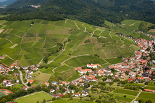 Vineyard in the district Neuweier in Baden-Baden in the state Baden-Wuerttemberg, Germany