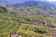 Wine-growing villages in the vineyards in the district Eisental in Bühl in the state Baden-Wuerttemberg, Germany