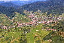 View of the village between the vineyards from the west in the district Untertal in Bühlertal in the state Baden-Wuerttemberg, Germany