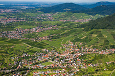 Aerial view of Town View of the streets and houses of the residential areas in the district Altschweier in Buehl in the state Baden-Wurttemberg