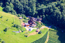 In Hennegraben in the district Riegel in Bühl in the state Baden-Wuerttemberg, Germany