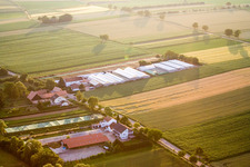 Weilerhof in the district Schaidt in Wörth am Rhein in the state Rhineland-Palatinate, Germany