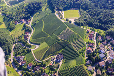 Steep vineyard slopes on Büchelbach in the district Büchelbach in Sasbachwalden in the state Baden-Wuerttemberg, Germany