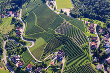 Kappelrodeck, vineyards near Bernhardshöfe in the district Büchelbach in Sasbachwalden in the state Baden-Wuerttemberg, Germany