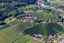 Aerial view of Steep vineyard slopes in the Eichwald in the district Büchelbach in Sasbachwalden in the state Baden-Wuerttemberg, Germany