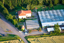 Aerial view of Cactus Land in Steinfeld in the state Rhineland-Palatinate, Germany
