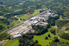 Building and production halls on the premises of sawmills in the district Oberachern in Achern in the state Baden-Wurttemberg