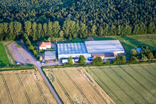 Aerial photograpy of Cactus Land in Steinfeld in the state Rhineland-Palatinate, Germany