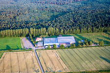 Oblique view of Cactus Land in Steinfeld in the state Rhineland-Palatinate, Germany