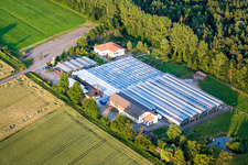 Cactus Land in Steinfeld in the state Rhineland-Palatinate, Germany out of the air