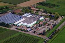 Decker Flowers GmbH in the district Großweier in Achern in the state Baden-Wuerttemberg, Germany