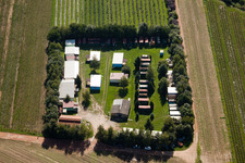 Fucheck in Malsch in the state Baden-Wuerttemberg, Germany