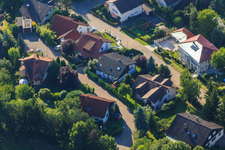 Aerial photograpy of Small forest in the district Ellmendingen in Keltern in the state Baden-Wuerttemberg, Germany