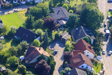 Small forest in the district Ellmendingen in Keltern in the state Baden-Wuerttemberg, Germany from the plane
