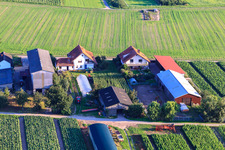 Aerial view of Aussiedlerhöfe Am Bildstöckel in Hatzenbühl in the state Rhineland-Palatinate, Germany