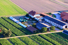 Aerial view of Aussiedlerhöfe Am Bildstöckel Dobler family in Hatzenbühl in the state Rhineland-Palatinate, Germany