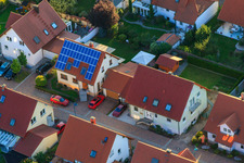 In the stork's nest in Erlenbach bei Kandel in the state Rhineland-Palatinate, Germany