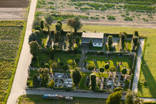 Grave rows on the grounds of the cemetery in Erlenbach bei Kandel in the state Rhineland-Palatinate