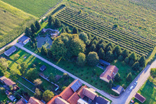 Dickemann Weber GmbH in Erlenbach bei Kandel in the state Rhineland-Palatinate, Germany