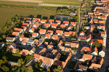 Aerial view of Garden path in Erlenbach bei Kandel in the state Rhineland-Palatinate, Germany