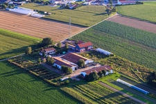 Schoßberghof in Minfeld in the state Rhineland-Palatinate, Germany from above