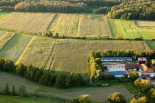 Aerial photograpy of Leistenmühle in Erlenbach bei Kandel in the state Rhineland-Palatinate, Germany