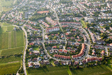 The district Maconring in the district Hambach in Neustadt an der Weinstrasse in the state Rhineland-Palatinate, Germany