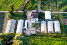 Erlenhof in Erlenbach bei Kandel in the state Rhineland-Palatinate, Germany