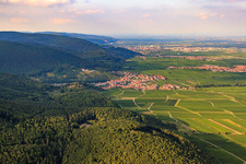 Aerial view of Wine-growing town on the edge of the Haardt from the south in the district SaintMartin in Sankt Martin in the state Rhineland-Palatinate, Germany