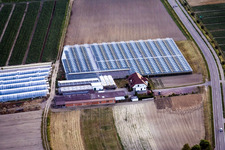 Sandhof in Herxheim bei Landau in the state Rhineland-Palatinate, Germany