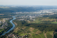 Riparian areas along the river mouth of the river Saar into the river Mosel in the district Koenen in Konz in the state Rhineland-Palatinate, Germany