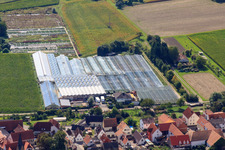 Nursery on Ziegelstr in the district Sondernheim in Germersheim in the state Rhineland-Palatinate, Germany