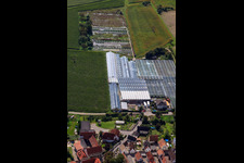 Aerial view of Nursery on Ziegelstr in the district Sondernheim in Germersheim in the state Rhineland-Palatinate, Germany
