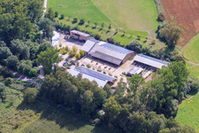 Kennelhof in the district Sondernheim in Germersheim in the state Rhineland-Palatinate, Germany out of the air