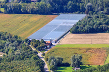 Aerial view of Gardening center Klaus and Frank Mildenberger in the district Sondernheim in Germersheim in the state Rhineland-Palatinate, Germany
