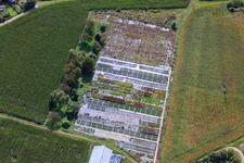 Oblique view of Nursery on Ziegelstr in the district Sondernheim in Germersheim in the state Rhineland-Palatinate, Germany