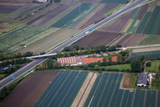 Aerial view of District Ruchheim in Ludwigshafen am Rhein in the state Rhineland-Palatinate, Germany