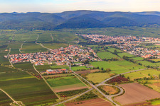 Aerial view of Village view from the east in Ruppertsberg in the state Rhineland-Palatinate, Germany