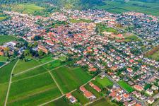 Zimmermann's Apple Days in Wachenheim an der Weinstraße in the state Rhineland-Palatinate, Germany