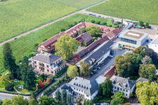 Bird's eye view of Buildings and parks at the mansion of the wine cellar Weingut Dr. Buerklin-Wolf in Wachenheim an der Weinstrasse in the state Rhineland-Palatinate, Germany