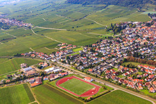 Oblique view of Sports field of TuS 1883 Wachenheim eV in Wachenheim an der Weinstraße in the state Rhineland-Palatinate, Germany