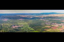 Grounds of the Golf course at Golfgarten Deutsche Weinstrasse in Dackenheim in the state Rhineland-Palatinate
