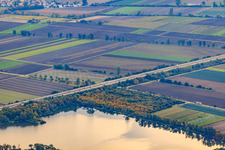 Lambsheim Pond in Lambsheim in the state Rhineland-Palatinate, Germany
