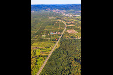 Aerial view of Industrial estate on the A650 in Ellerstadt in the state Rhineland-Palatinate, Germany
