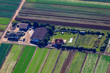 Drumm Aussiedlerhof Langgewanne in Fußgönheim in the state Rhineland-Palatinate, Germany